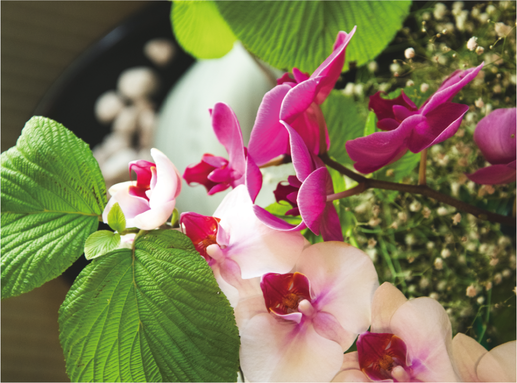 暑い川越を涼しく楽しむ。